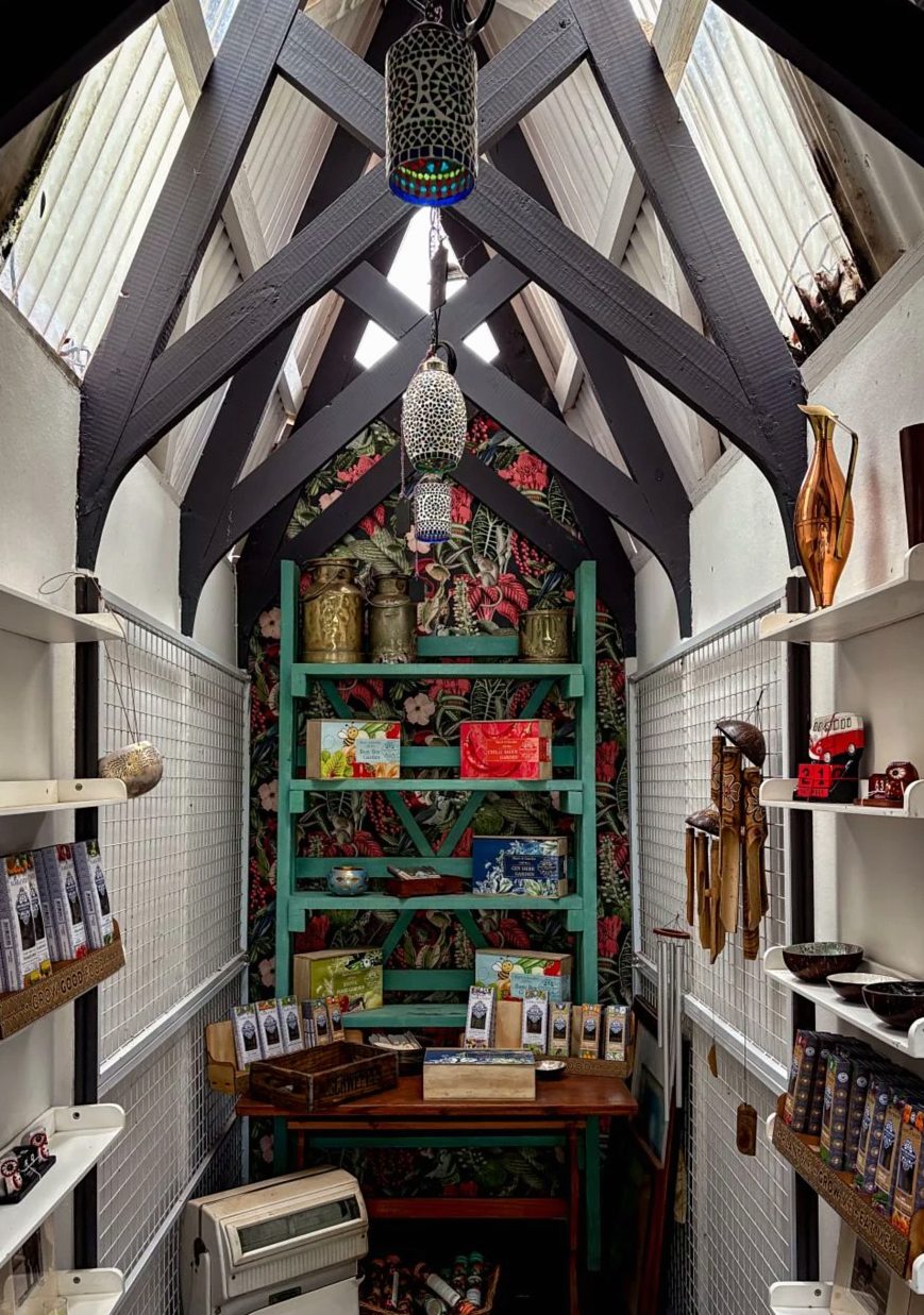 Charming small shop interior with unique decor and vintage charm.